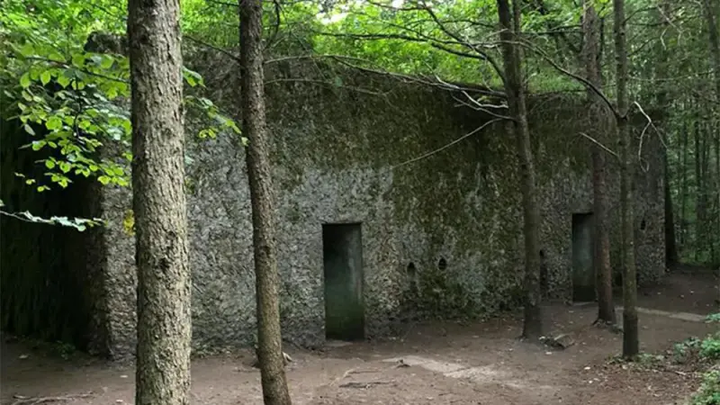 Bunkry w Mamerkach