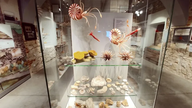 Muzeum Podgórza. Oddział Muzeum Krakowa