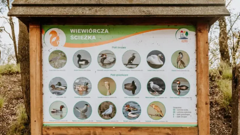 Plaża miejska Olecko