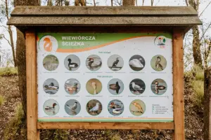 Plaża miejska Olecko