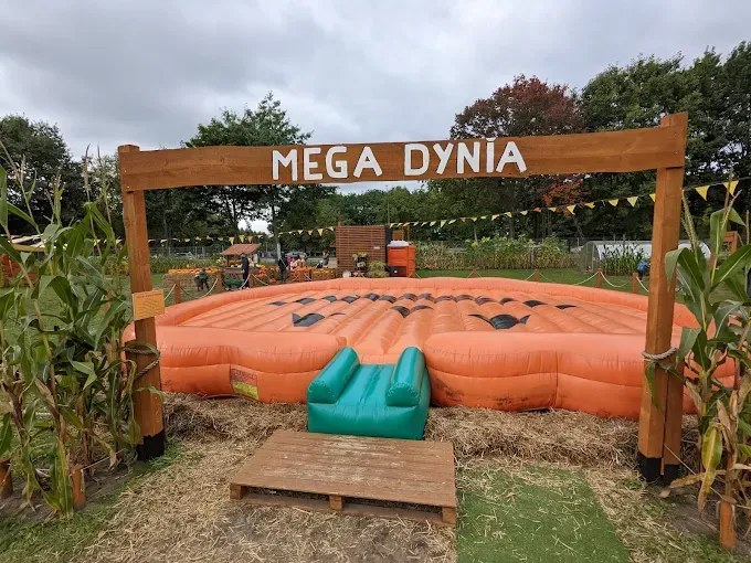 Farma Wuja Toma - Dyniolandia