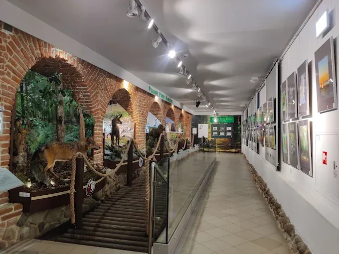 Muzeum im. Jacka Malczewskiego w Radomiu