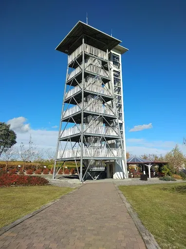 Wieża widokowa